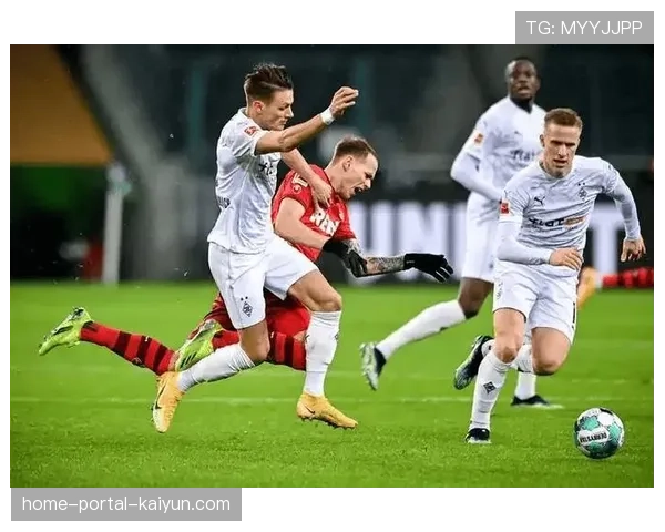 汉堡主场未能全取三分，保级之路依然充满挑战